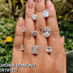 princess curt diamond (10)